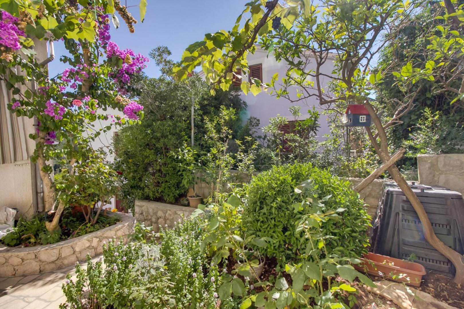 מלון מאלי לוסיניי House Prica מראה חיצוני תמונה